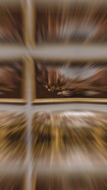 @museodelprado