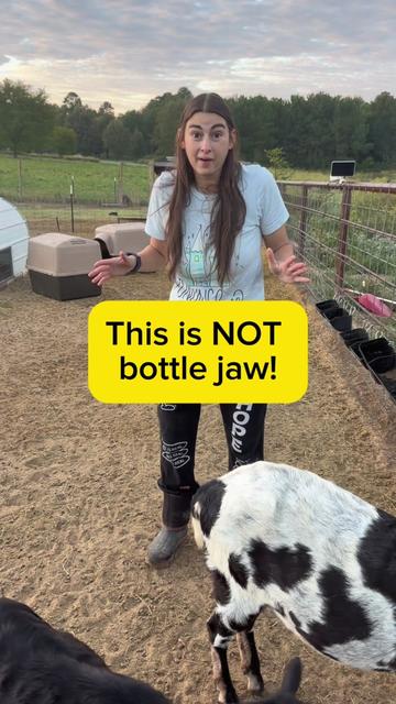 @Heart & Hoof Homestead