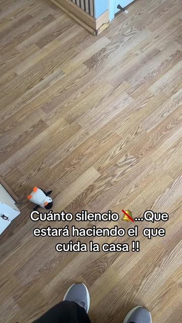 @Blanka Solorzano