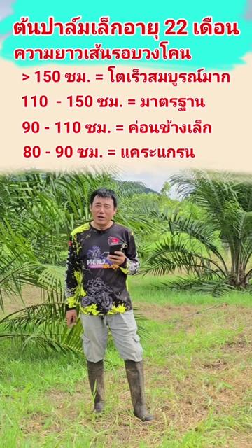 @KTM เขมจิราฟาร์ม