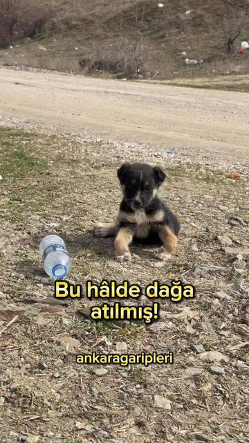 @Asiye