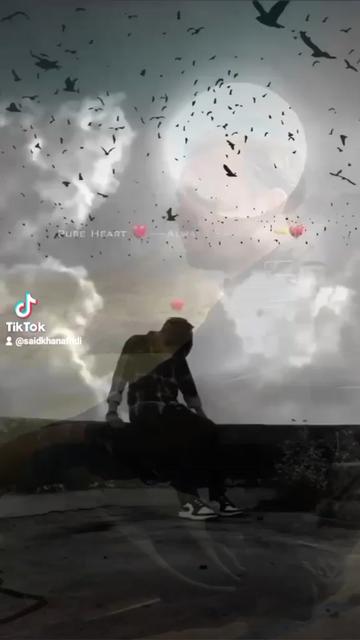 @ミ★ 𝘚𝘈𝘐𝘋 𝘈𝘍𝘙𝘐𝘋𝘐 ★彡