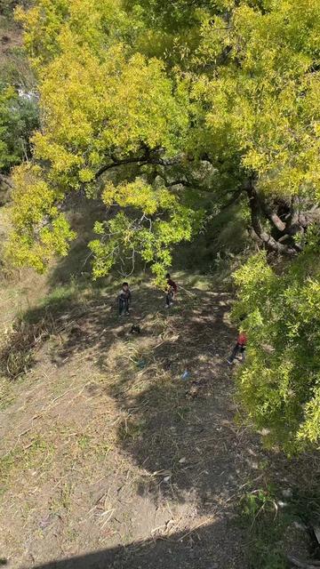 @BANJARA