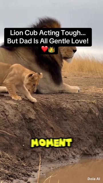 @KJ@LoveAnimalsEpicNature