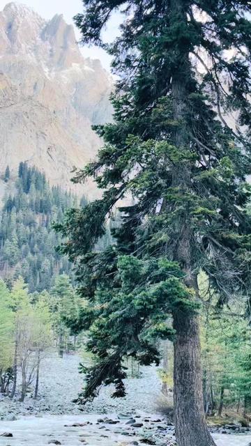 @KHAIR