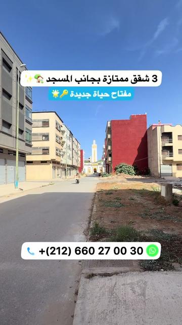@Zakaria Haddad 🇲🇦🇵🇸