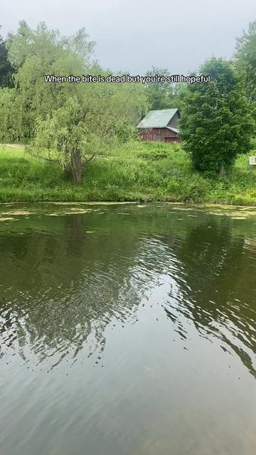 @BRVDDY BASSIN