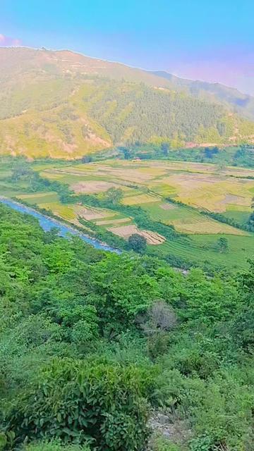 @Arun shahi