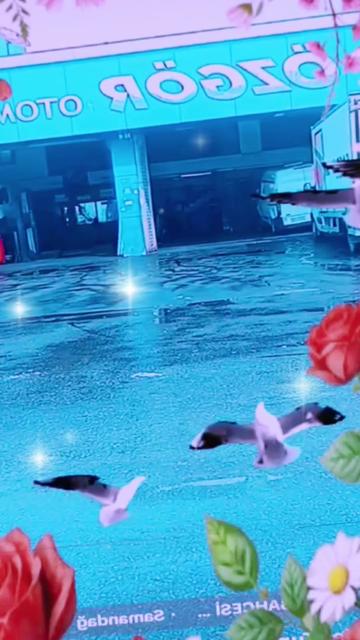 @Muzaffer özel görev