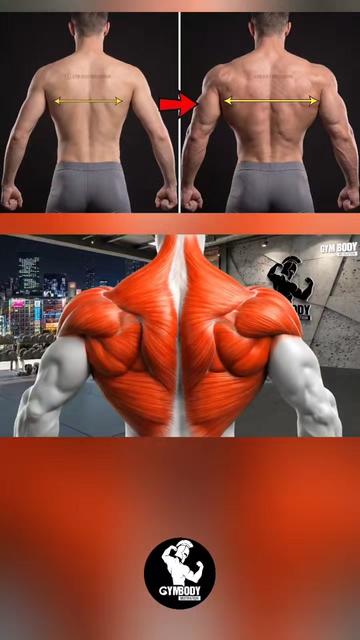 @GYM BODY MOTIVATION