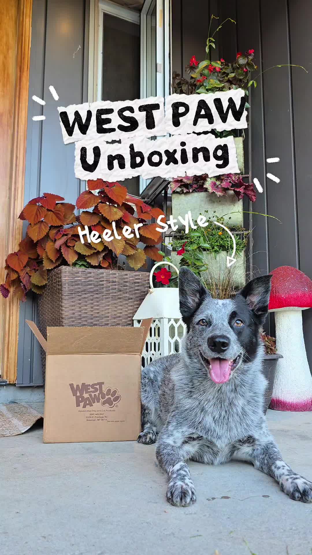 @HEELER GANG