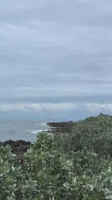 @Big Barra 88