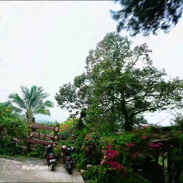 @R Andyka Sy (Pilot Centil)