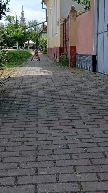 @Elena Fedorca