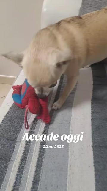 @Irene Piero Celli Sa
