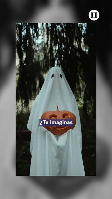 @elheraldodemexico