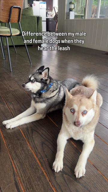 @lifewithkleekai