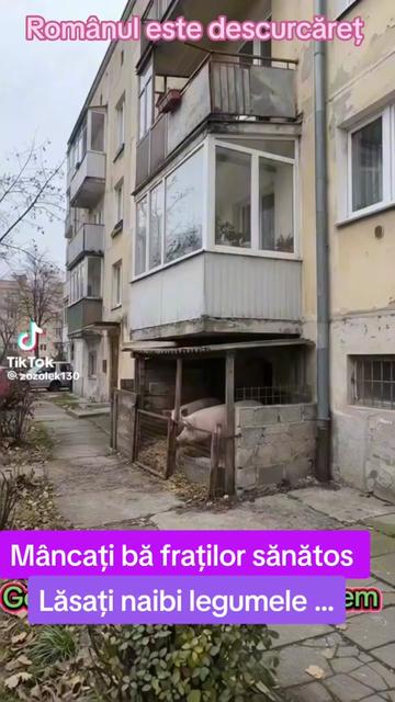 @Nenea Sorin Un Șofer Cu Ștaif.