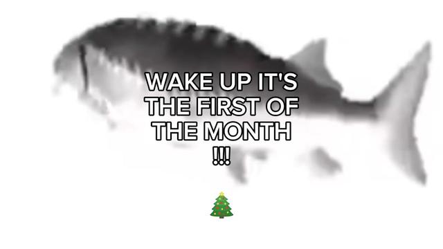 @𝑩𝒖𝒏𝒏𝒚