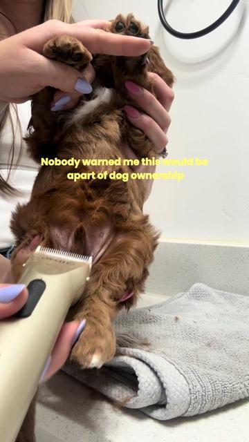 @Pupwell