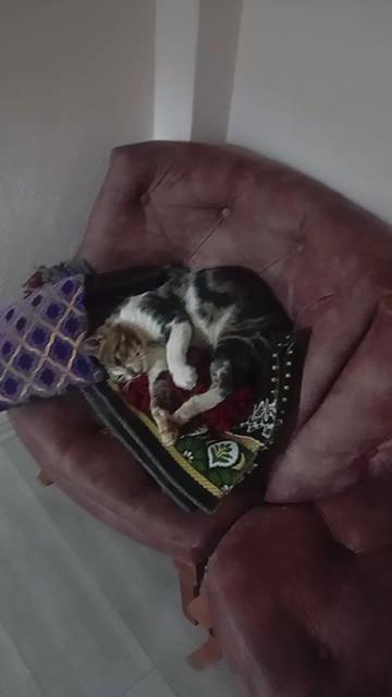 @çamur