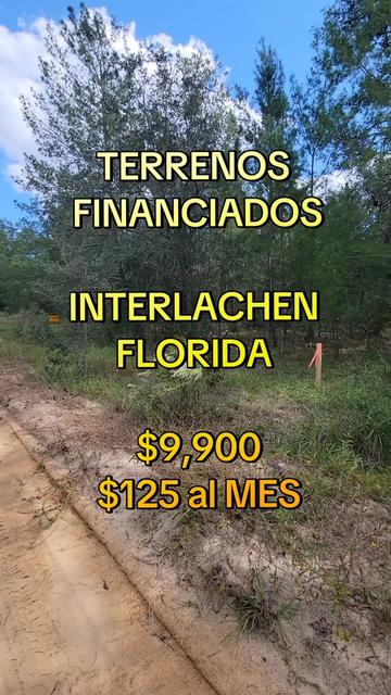 @TerraTrust llc