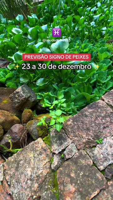 @soudepeixes