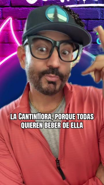 @RIGOBERTO