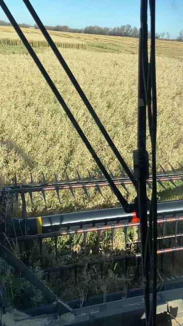 @bf48farmer