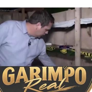 @Garimpo Real⚖️⚒