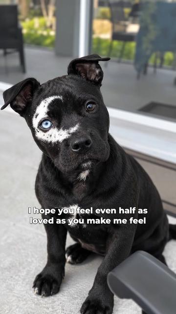 @moonfetches