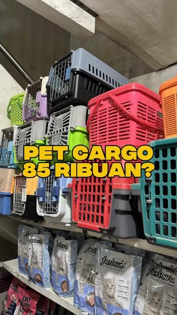 @bejo petmart