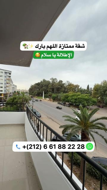 @Zakaria Haddad 🇲🇦🇵🇸