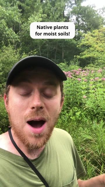 @Andrew The Arborist