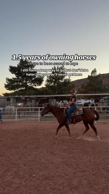 @Utah | Waxing | CEO | Horses