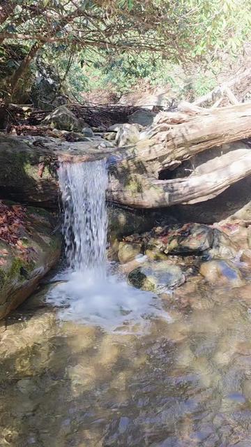 @PA Creek Walker