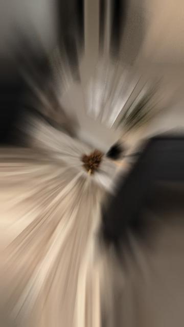 @TuckerTheTurlockDoodle