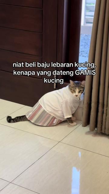 @OxaliStore