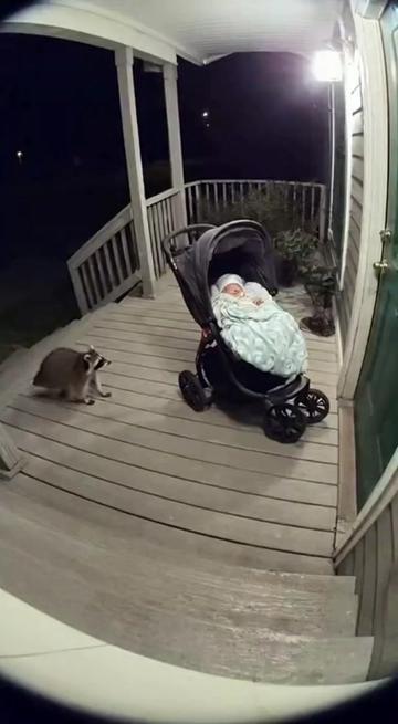 @The AI SuperCat