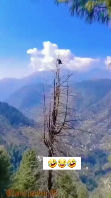 @🕊️.⋆کلمدم کشمیری.⋆👸