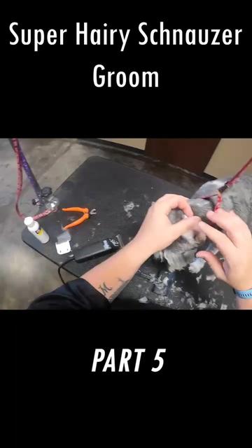 @Rovers.Makeover