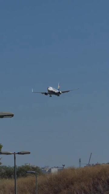 @Lisbon Spotting