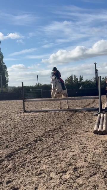 @LottiesHorseAdventures🦄🐴