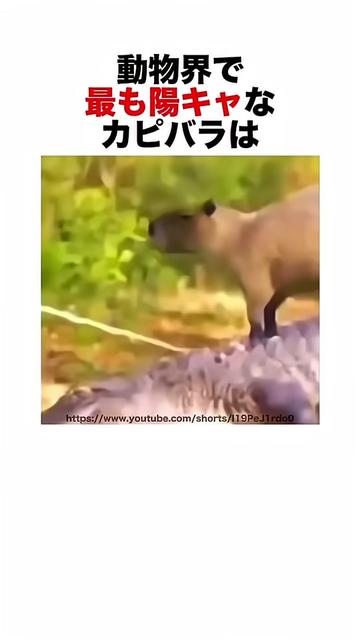 @user1040381569363