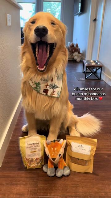 @rigatoni_thegolden