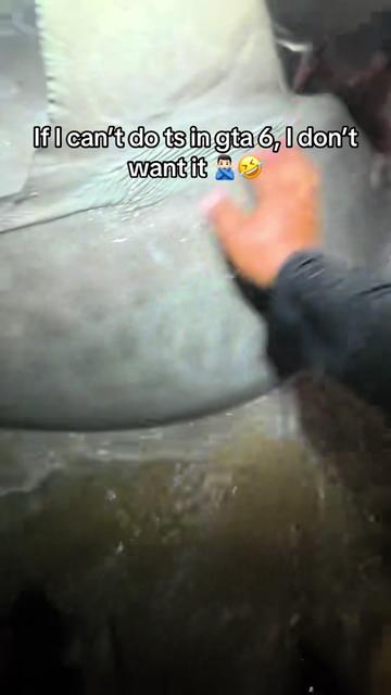 @772SHARKMAFIA