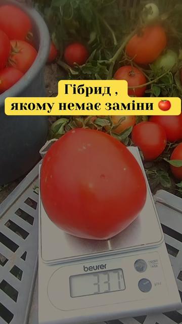 @Золотий Гектар|Насіння,Добрива