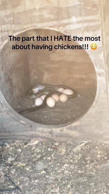@Our Family Farm