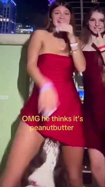 @WiseGize
