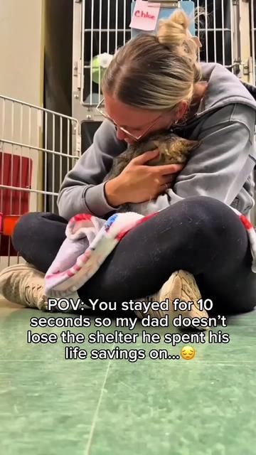 @Purry Paws